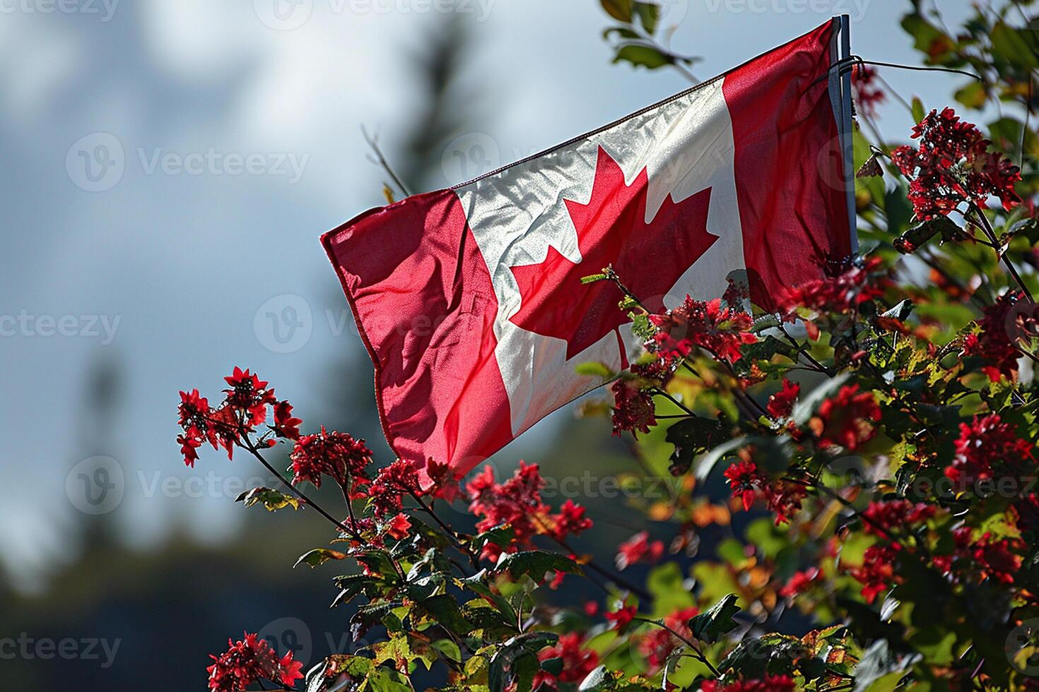 Canadian flag in the lap of nature. Generated by artificial intelligence photo