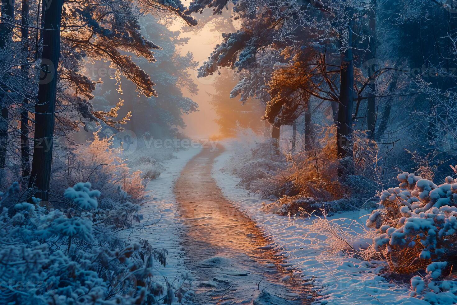 A wintery landscape with a forest path. . photo