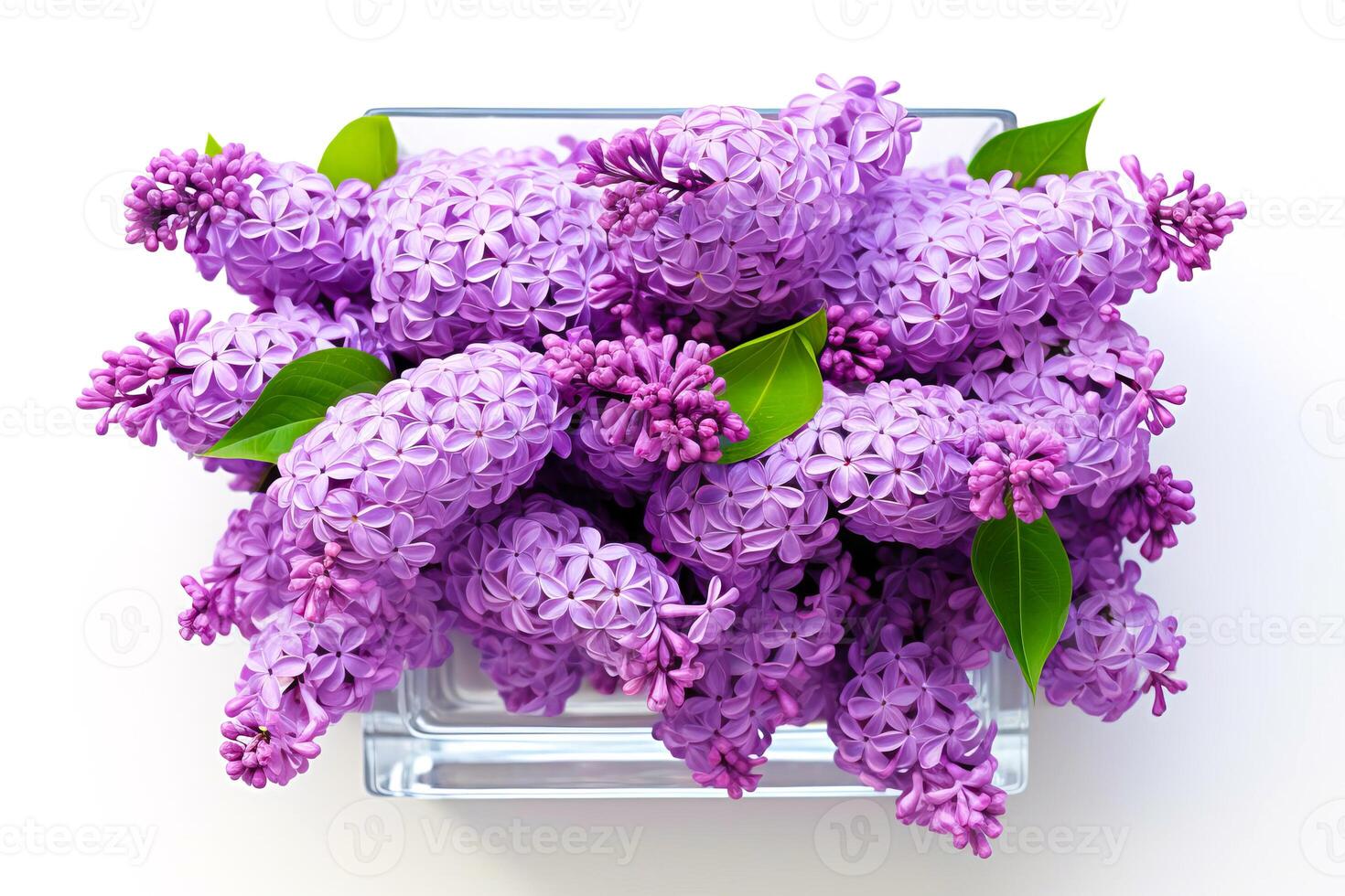 A bouquet of beautiful lilacs in a vase. . photo