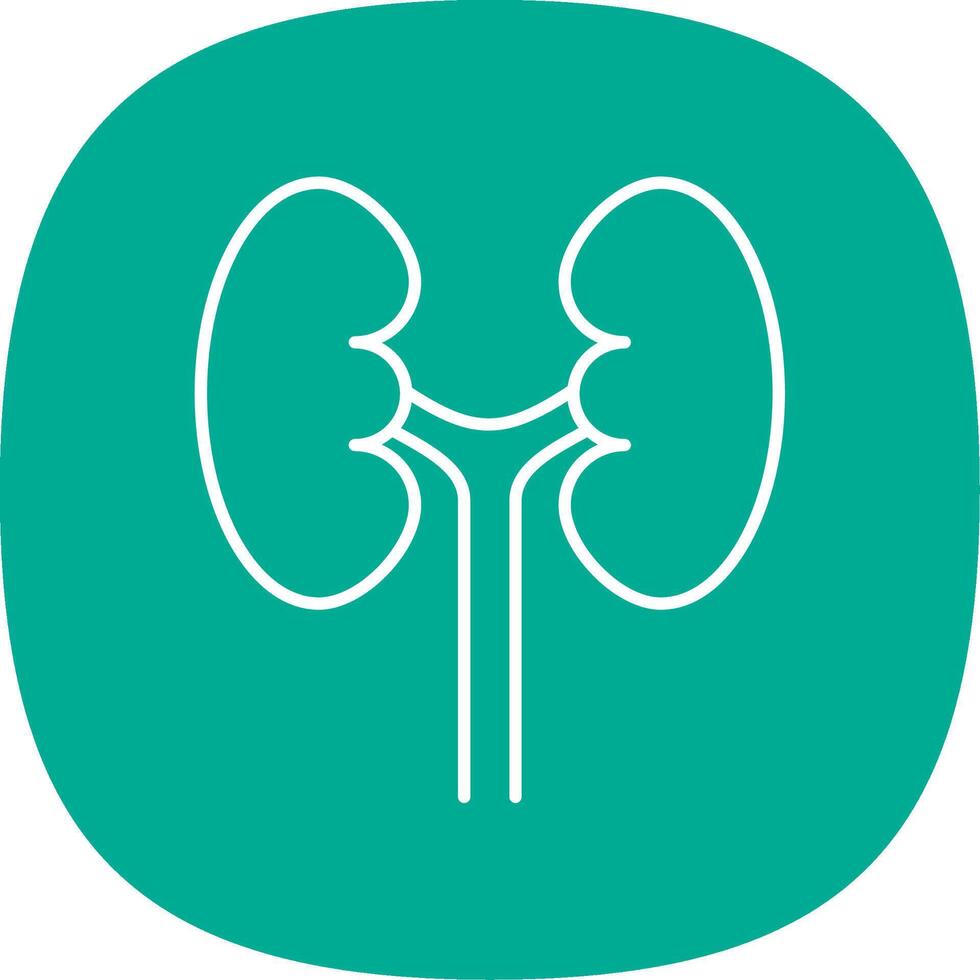 Urology Line Curve Icon vector