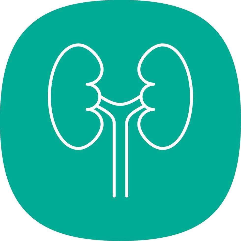 Urology Line Curve Icon vector