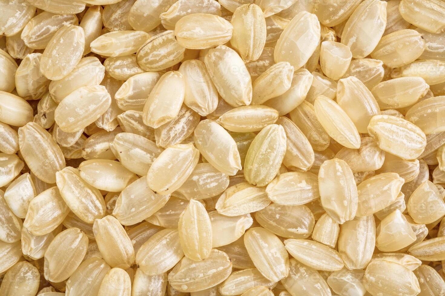 sweet brown rice macro photo