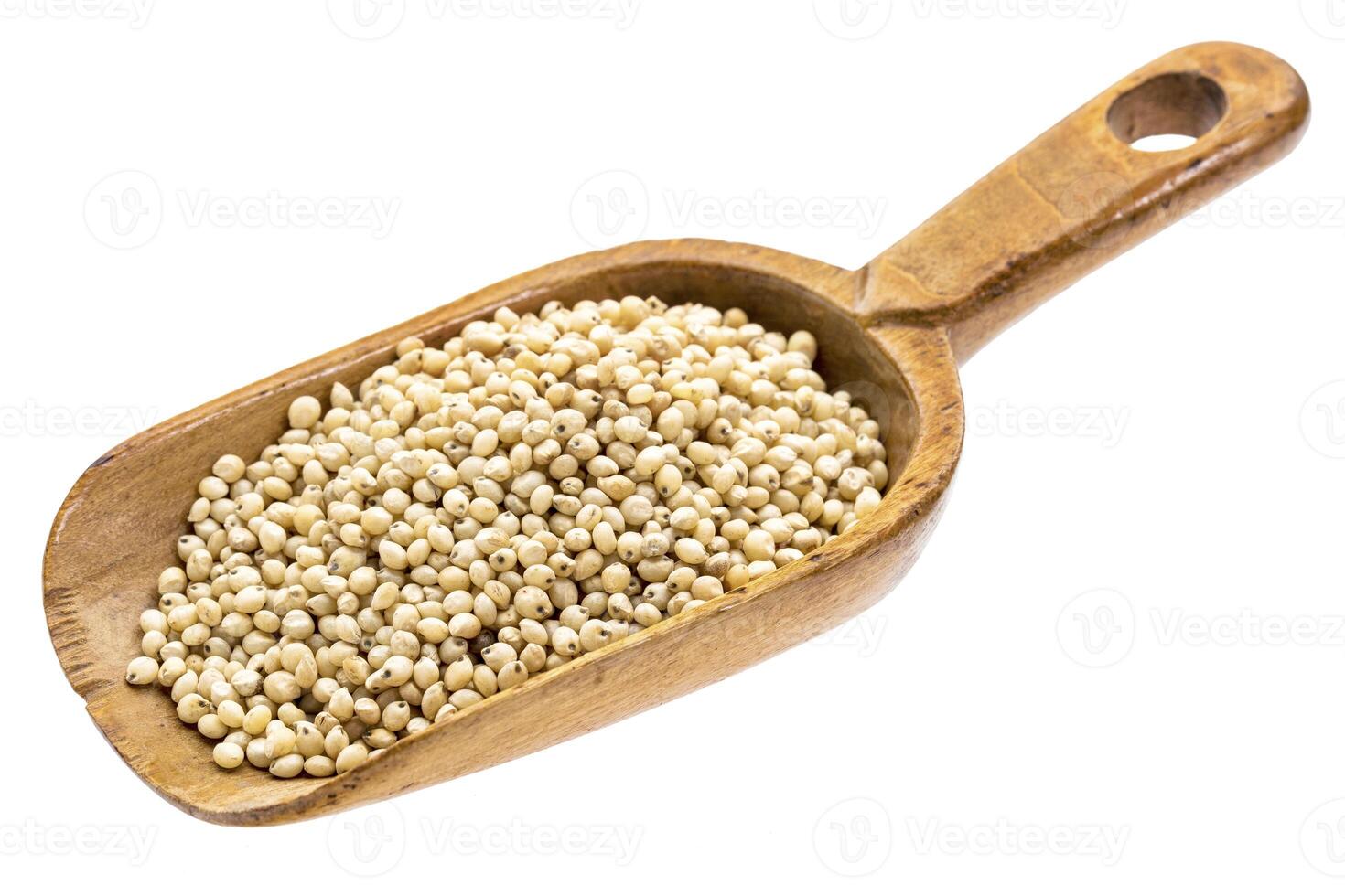 rustic scoop of sorghum grain photo