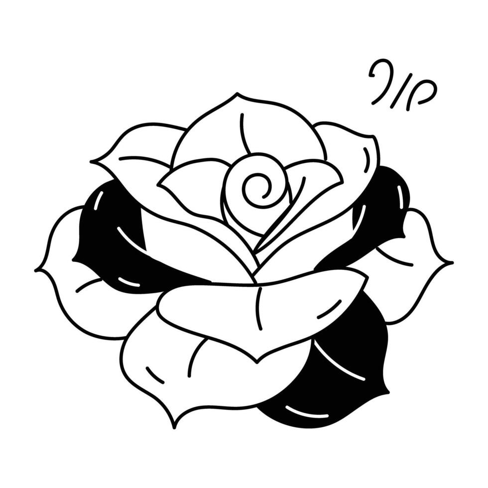 Trendy Blooming Rose vector