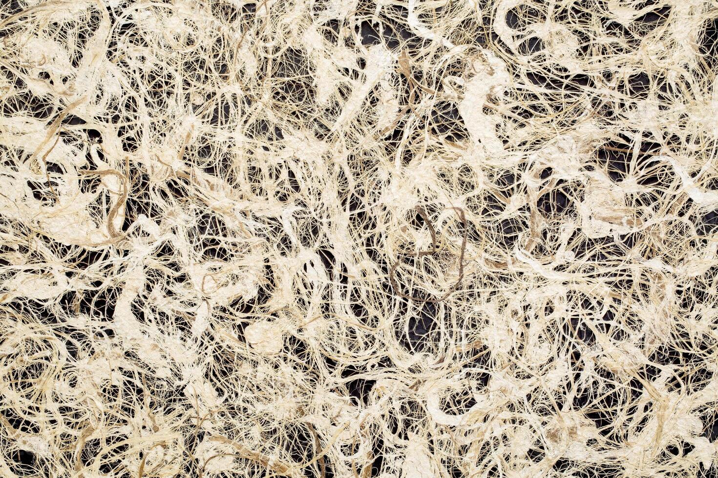 Amate bark paper background photo