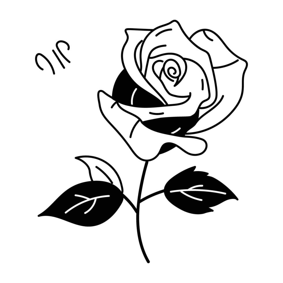 Trendy Scarlet Rose vector