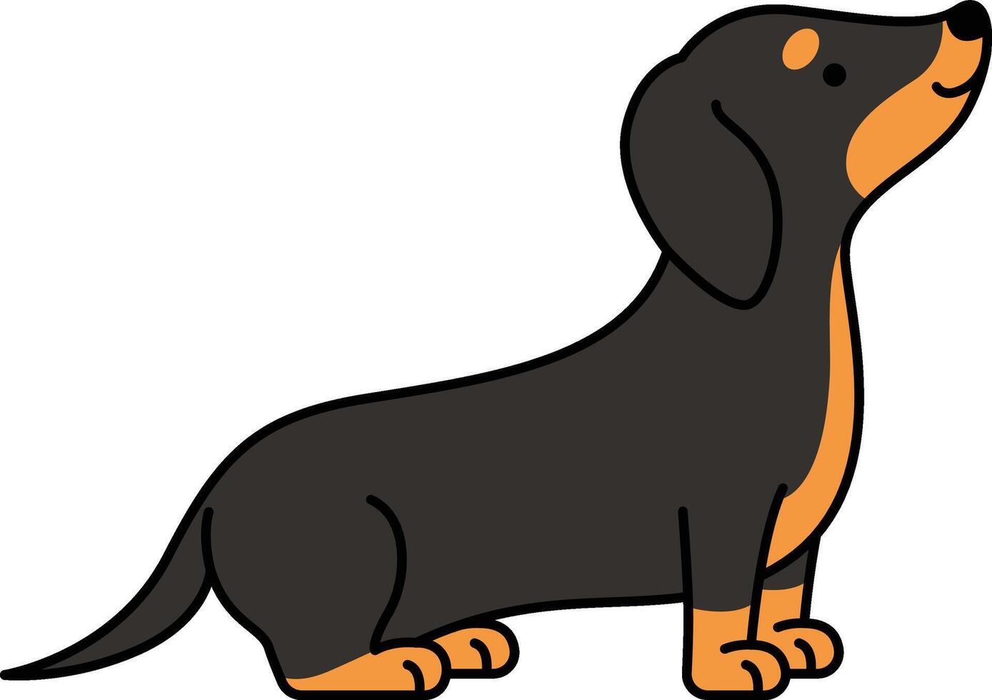 Cute dachshund dog vector