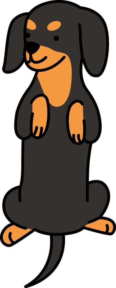 Cute dachshund dog vector