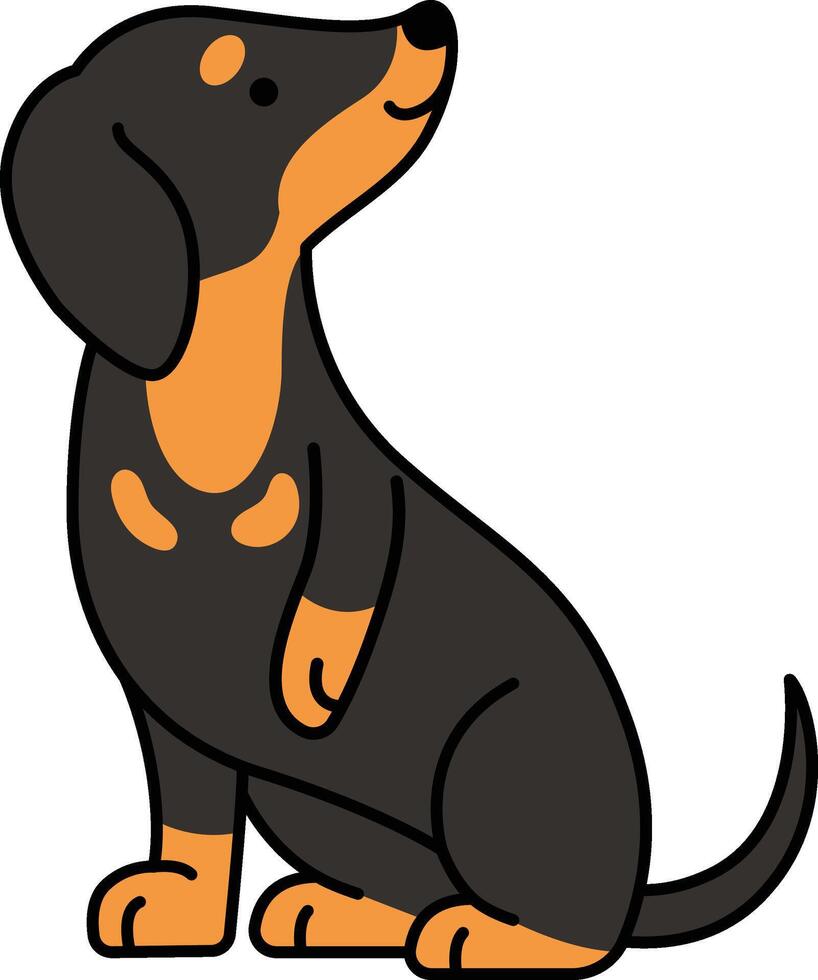Cute dachshund dog vector