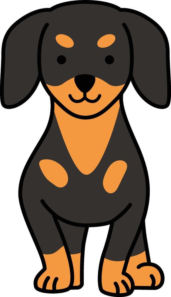 Cute dachshund dog vector