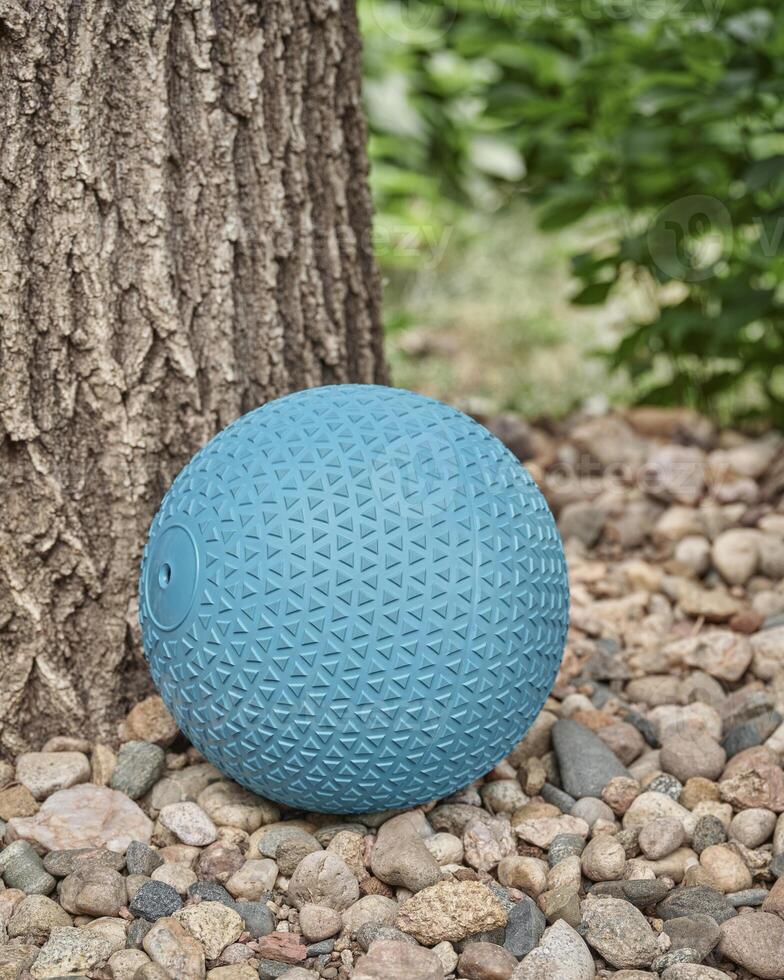 slam ball in a backyard photo