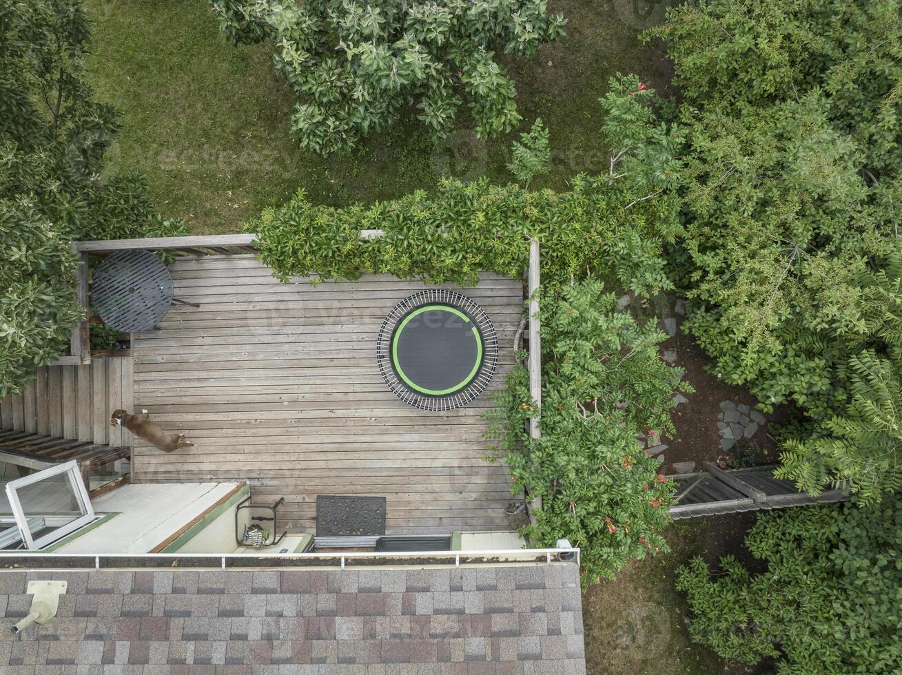 fitness mini trampoline in backyard patio photo