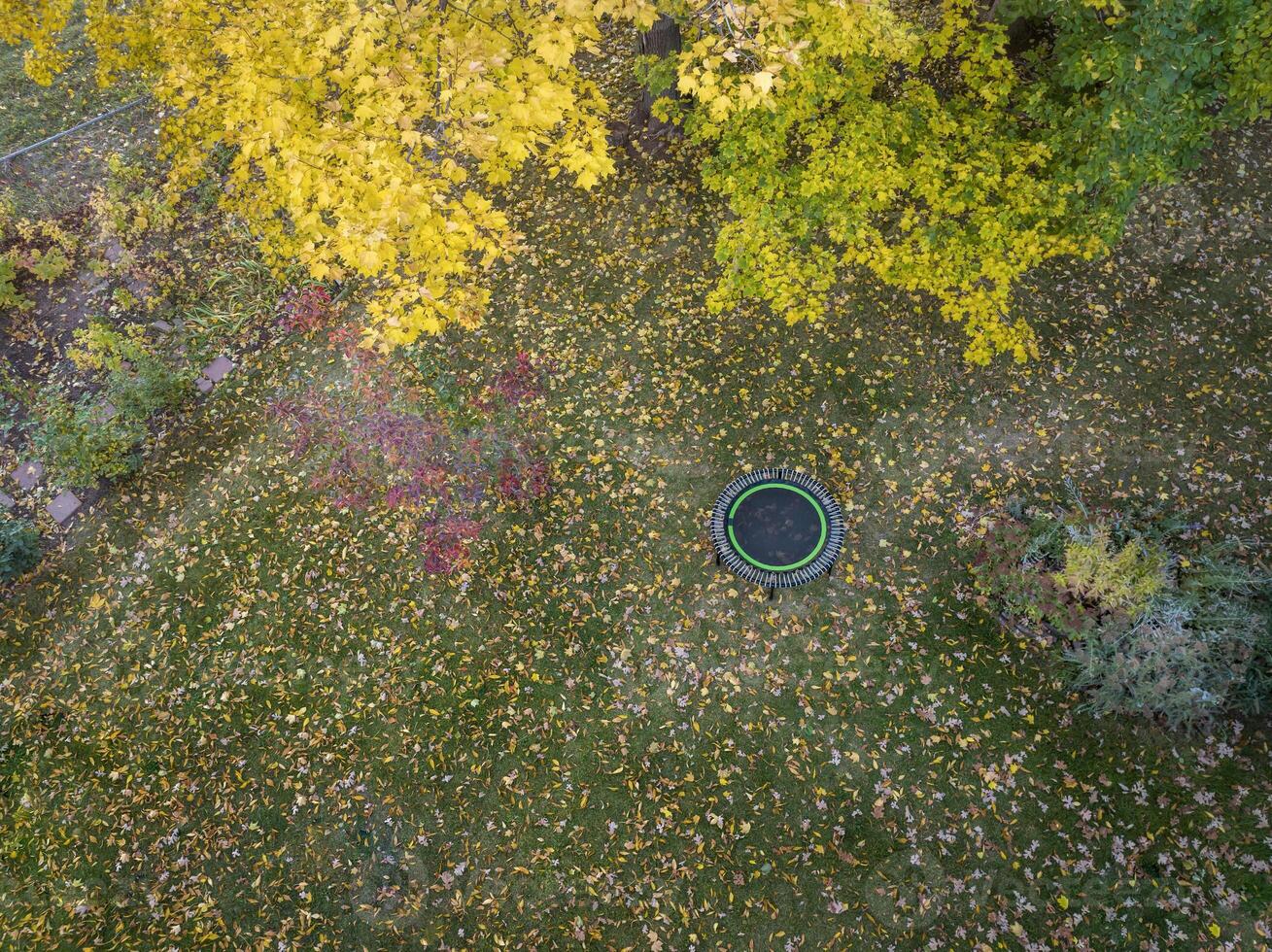 mini fitness trampoline in backyard photo