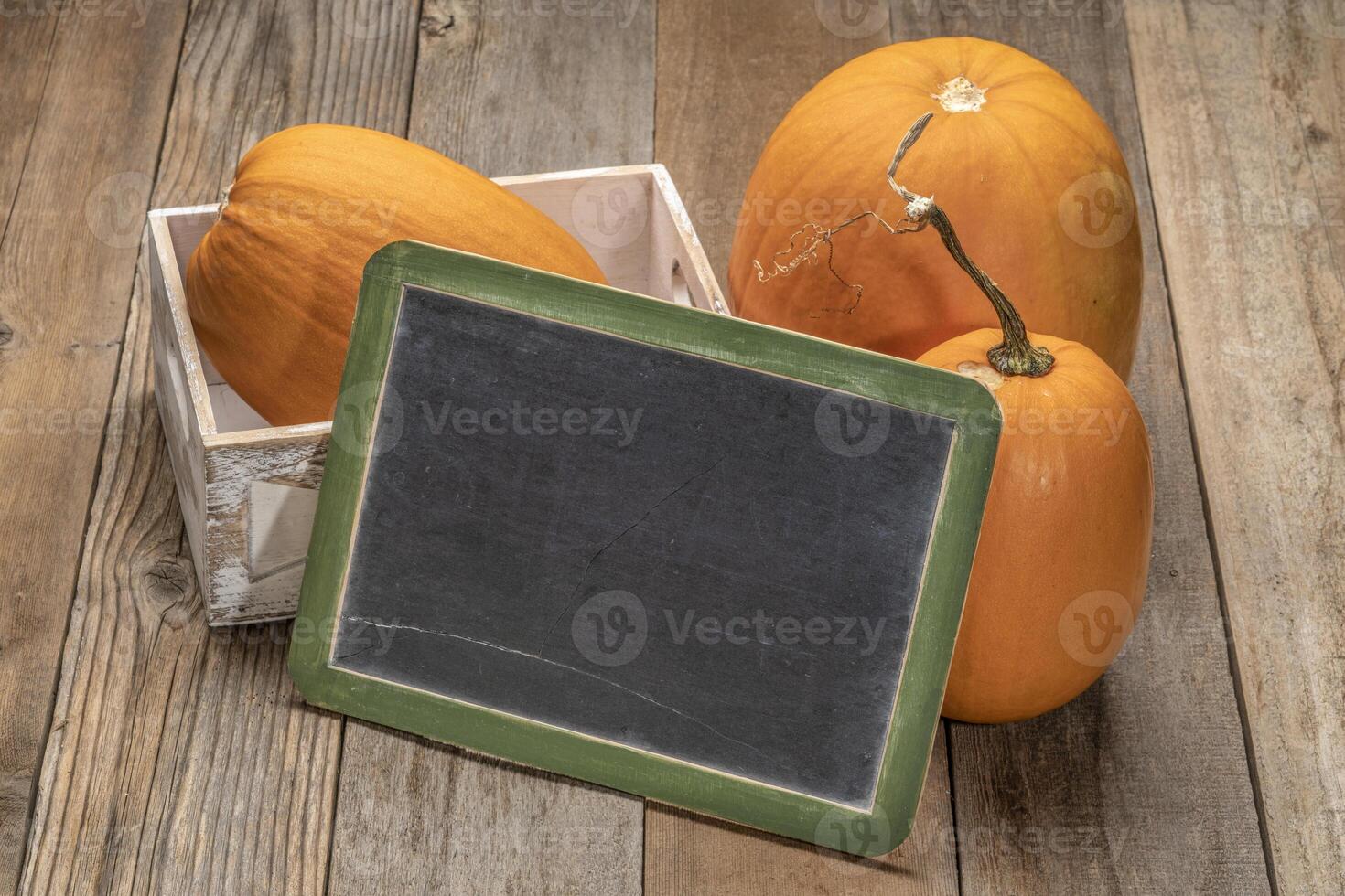 Blank slate blackboard with pumpkins photo