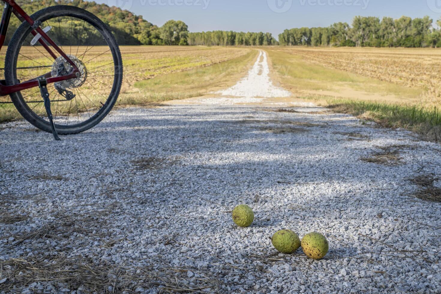 pecans and a gravel bike on Steamboat Trace Trail converted from old railroad near Brownville, Nebraska photo