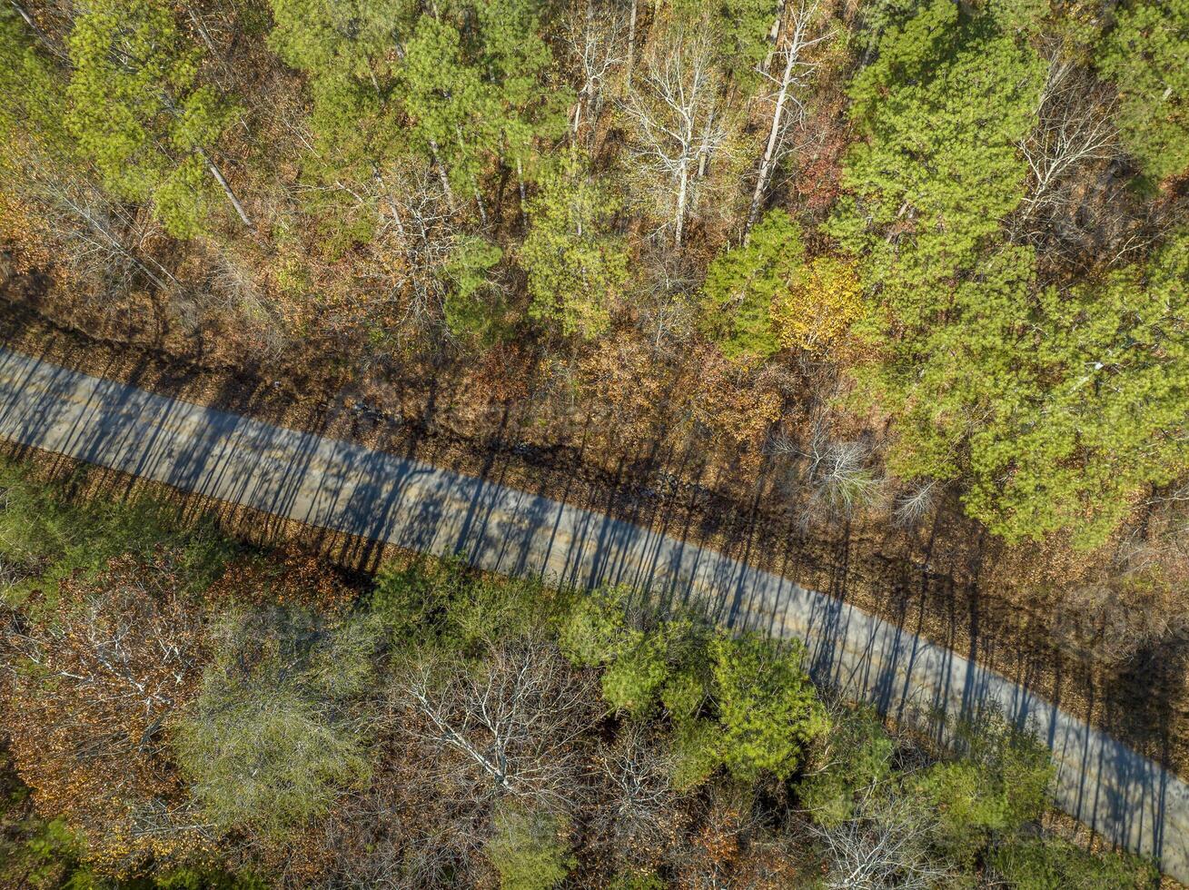 local highway through Alabama forest along the Tenessee River, Riverton Rose Trail, late November aerial view photo