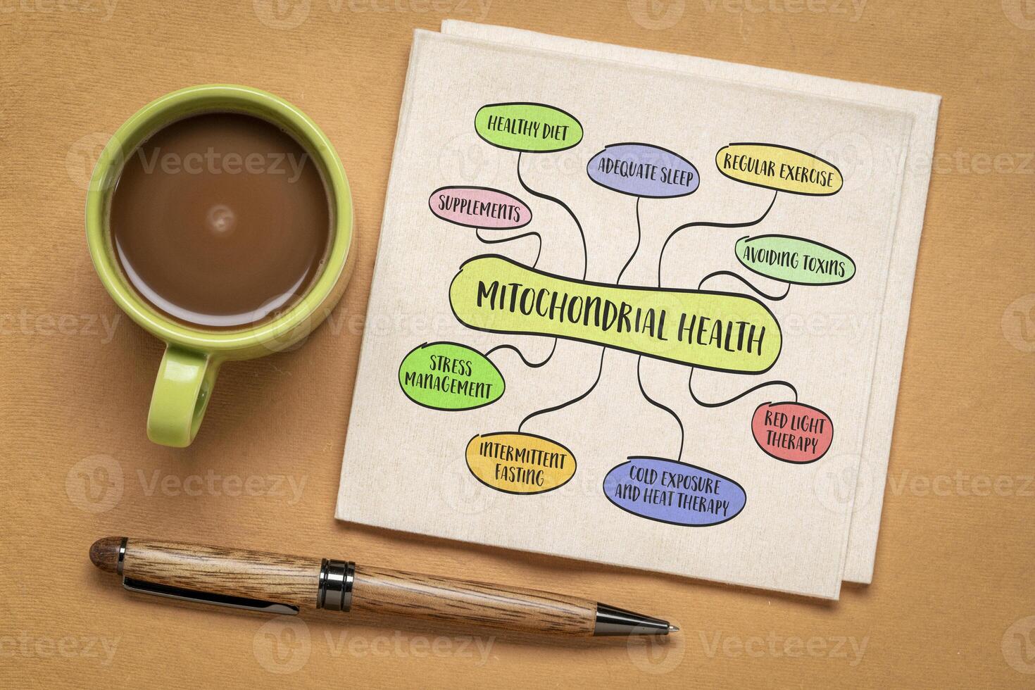 mitocondrial salud concepto - mente mapa infografía, bosquejo en un servilleta, sano estilo de vida y envejecimiento foto