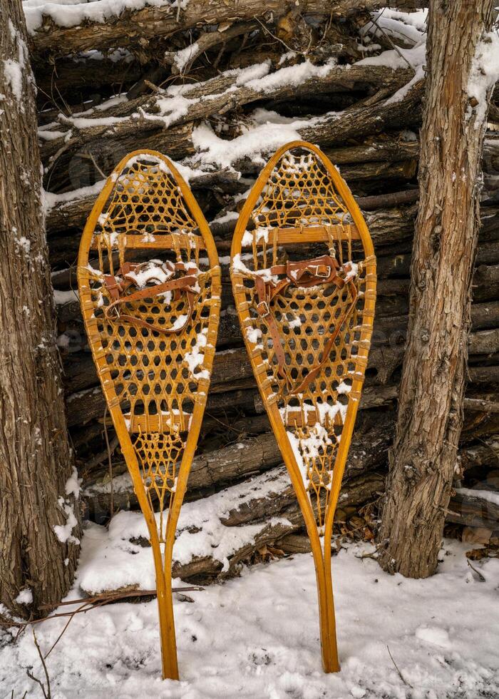 Classic wooden snowshoes, Huron, in a backyard covered by snow photo