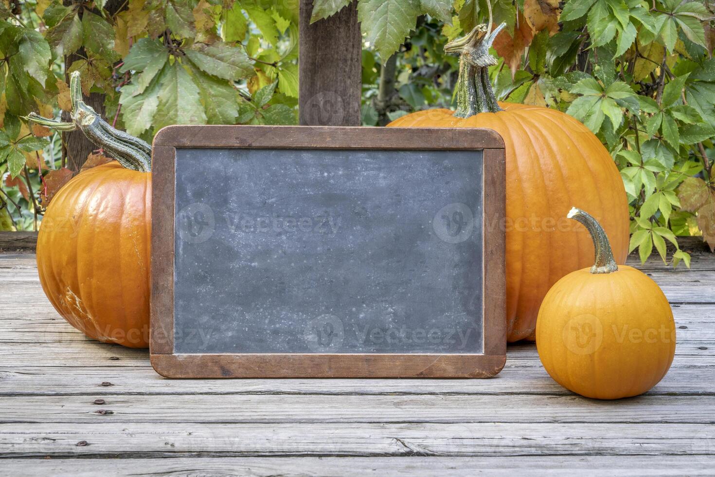 blank retro slate blackboard sign a rustic wooden deck with pumpkins photo