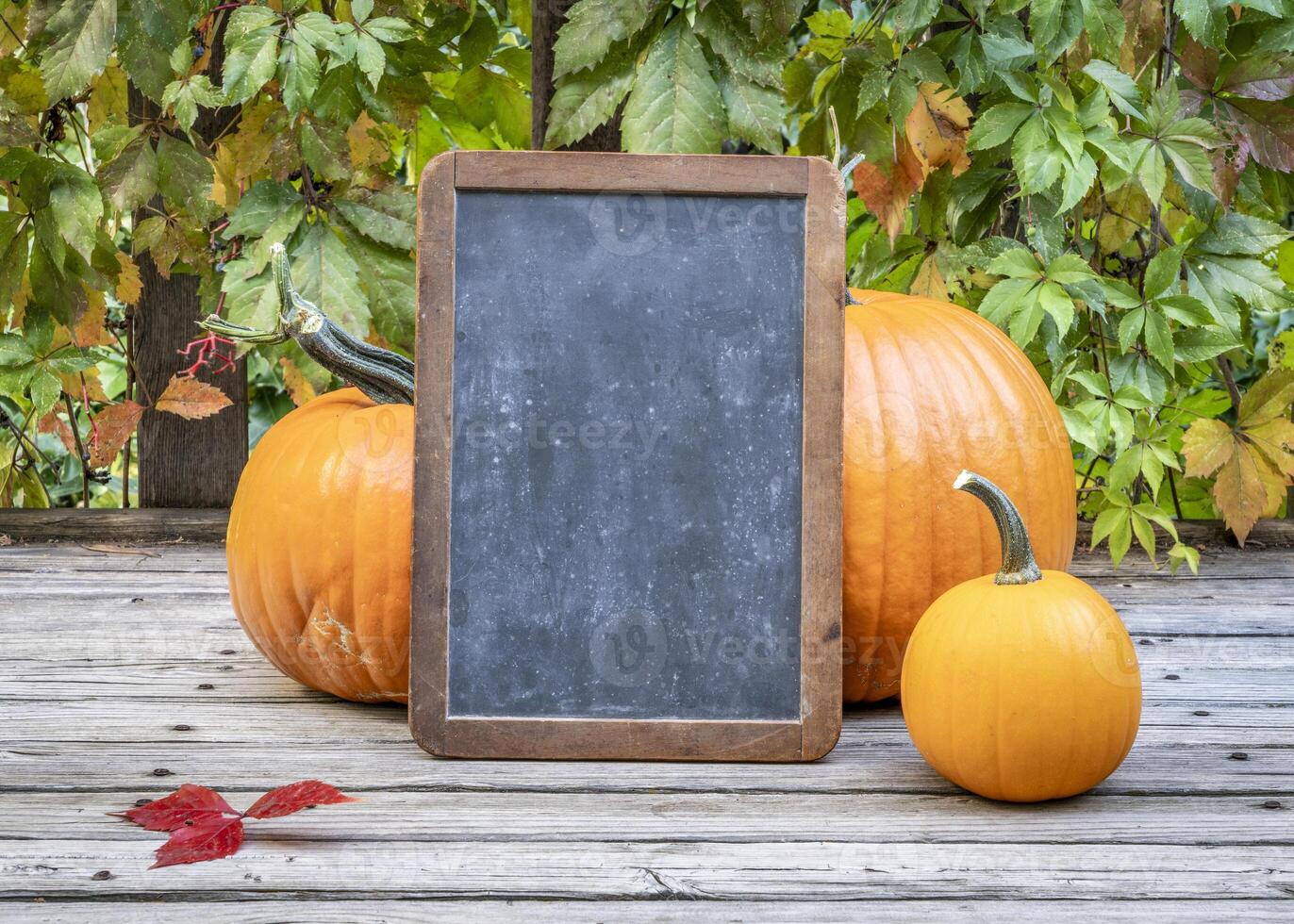 blank retro slate blackboard sign a rustic wooden deck with pumpkins photo