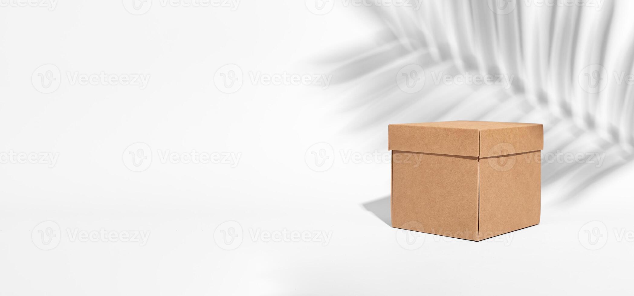 Beige brown carton box, kraft eco package of square shape, palm leaf shadow. Banner background photo