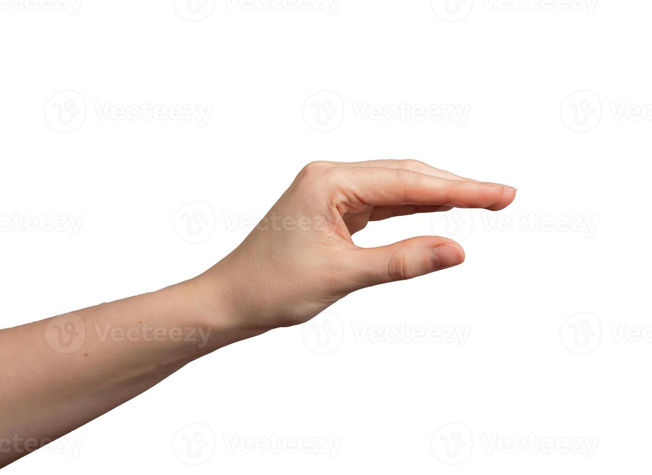 Hand gesture, fingers showing something, holding small, little isolated on white. photo