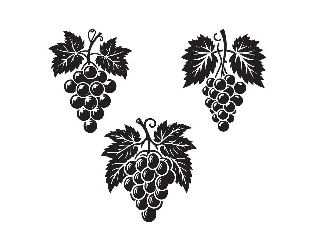 grape silhouette icon graphic logo design vector