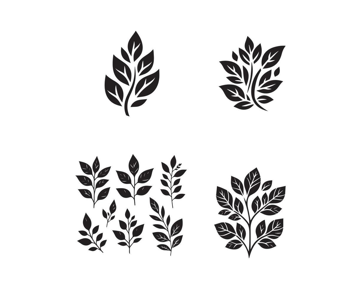 leaf silhouette icon graphic logo design vector