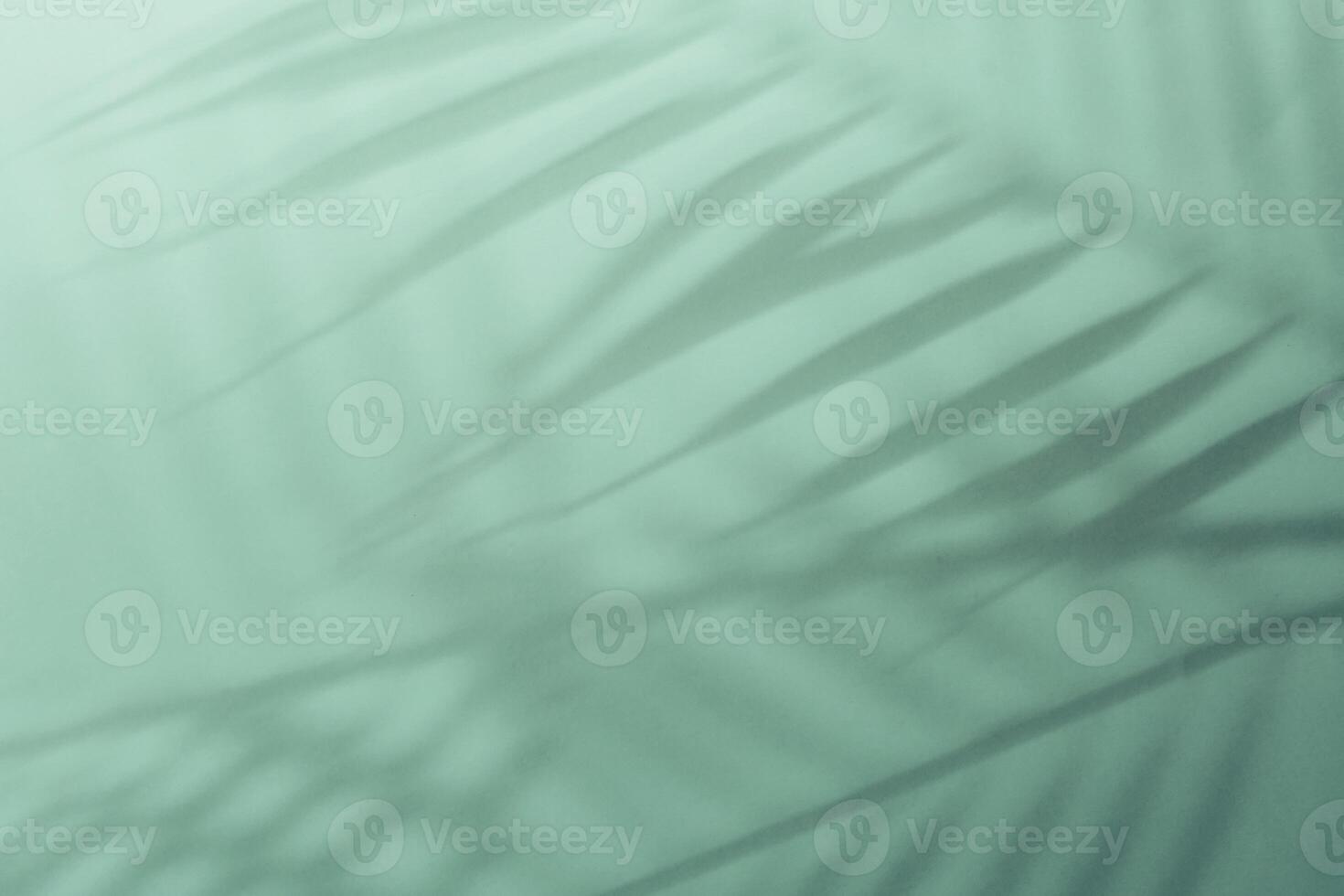 Natural palm leaves shadow on gradient paper background. Abstract blue and mint tropical backdrop. Soft light photo