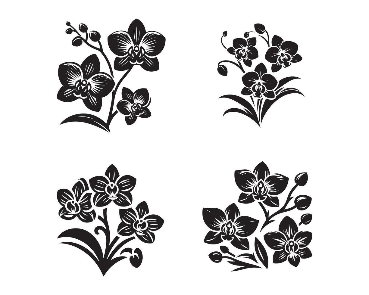 Orchid flowers silhouette icon graphic logo design vector