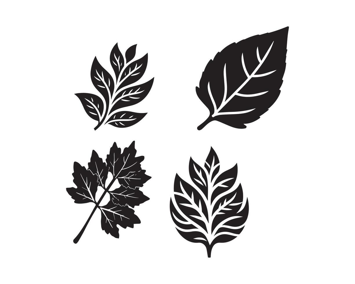 leaf silhouette icon graphic logo design vector