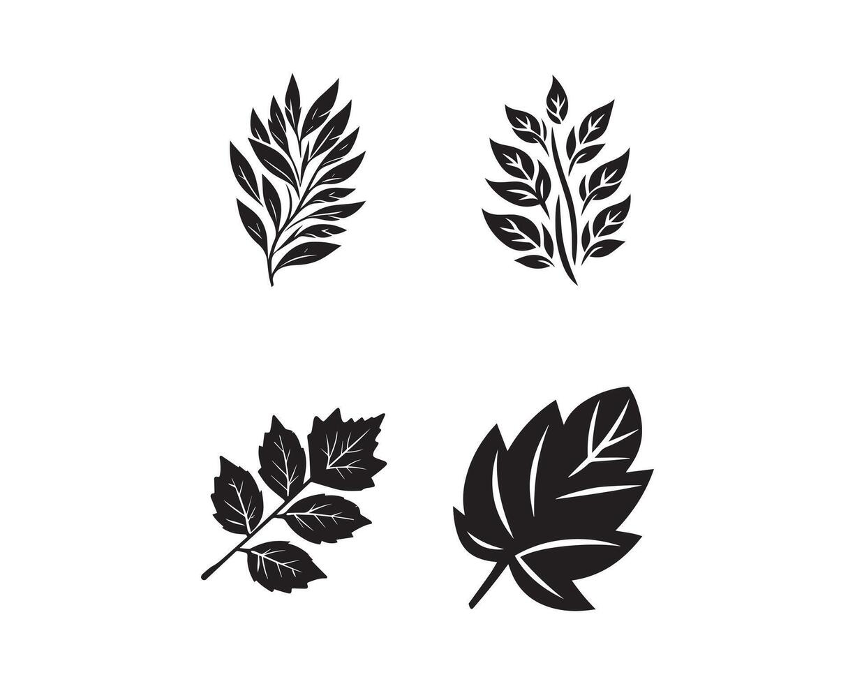 leaf silhouette icon graphic logo design vector