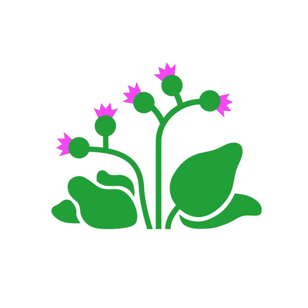 Burdock plant with leaves and flowers. flat illustration isolated on white background. vector