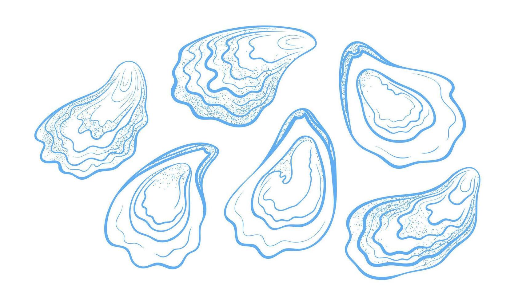 Handdrawn textured oysters set. illustration isolated on a white background. vector
