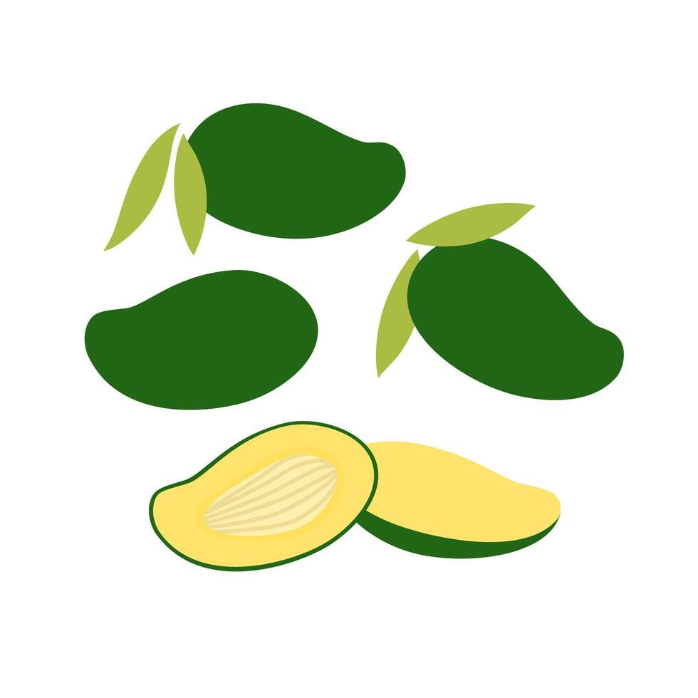Bunch of fresh green mango. Flat illustration isolated on white background. vector