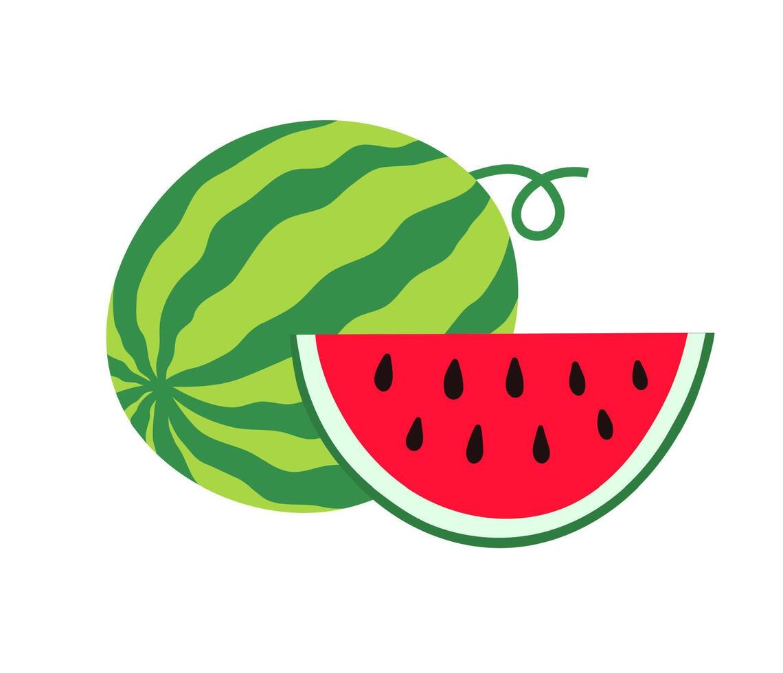 Fresh watermelon whole and half-round slice. flat illustration isolated on white background. vector