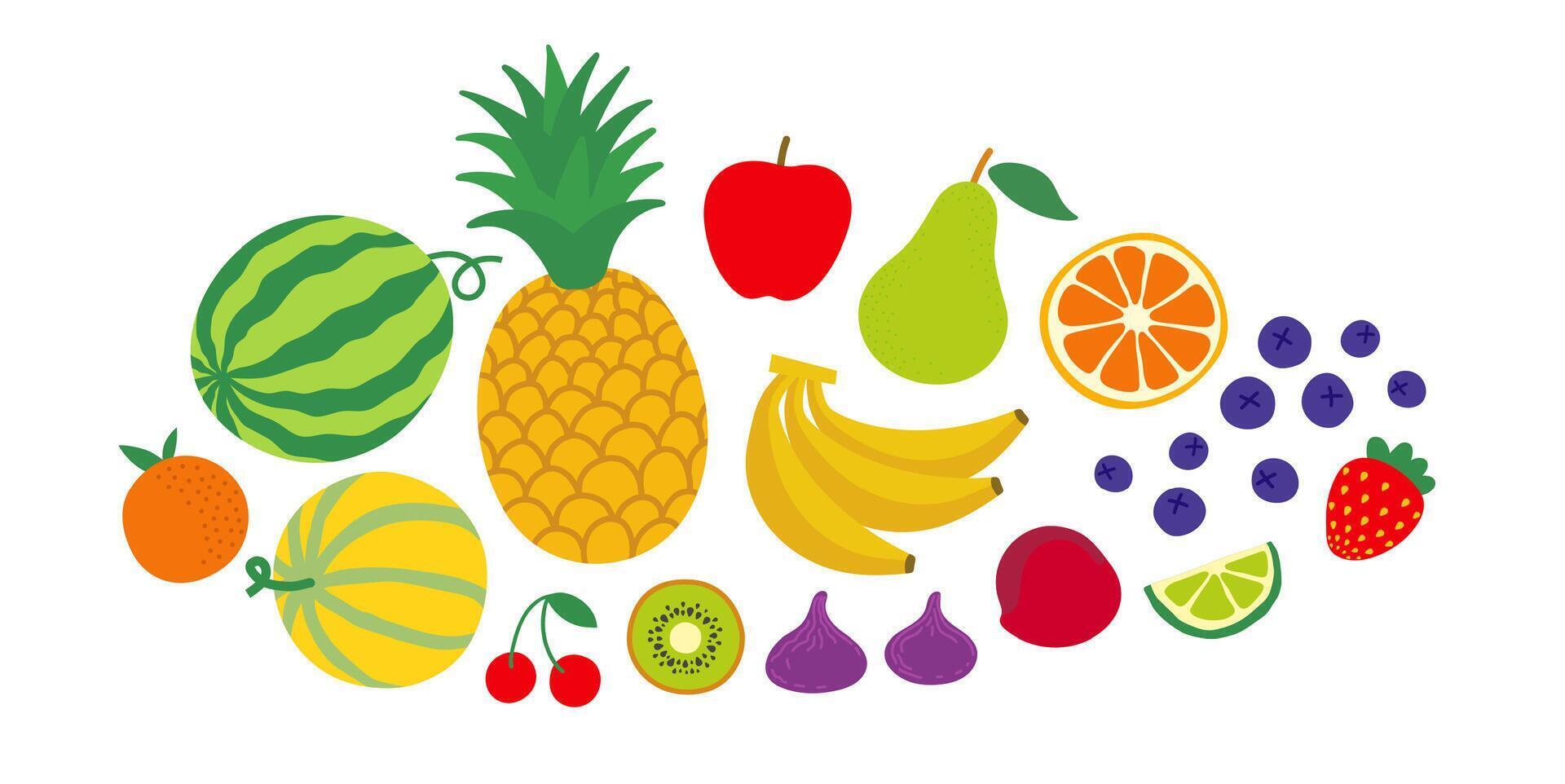 grupo de diferente frutas y bayas. horizontal ilustración aislado en blanco antecedentes. vector