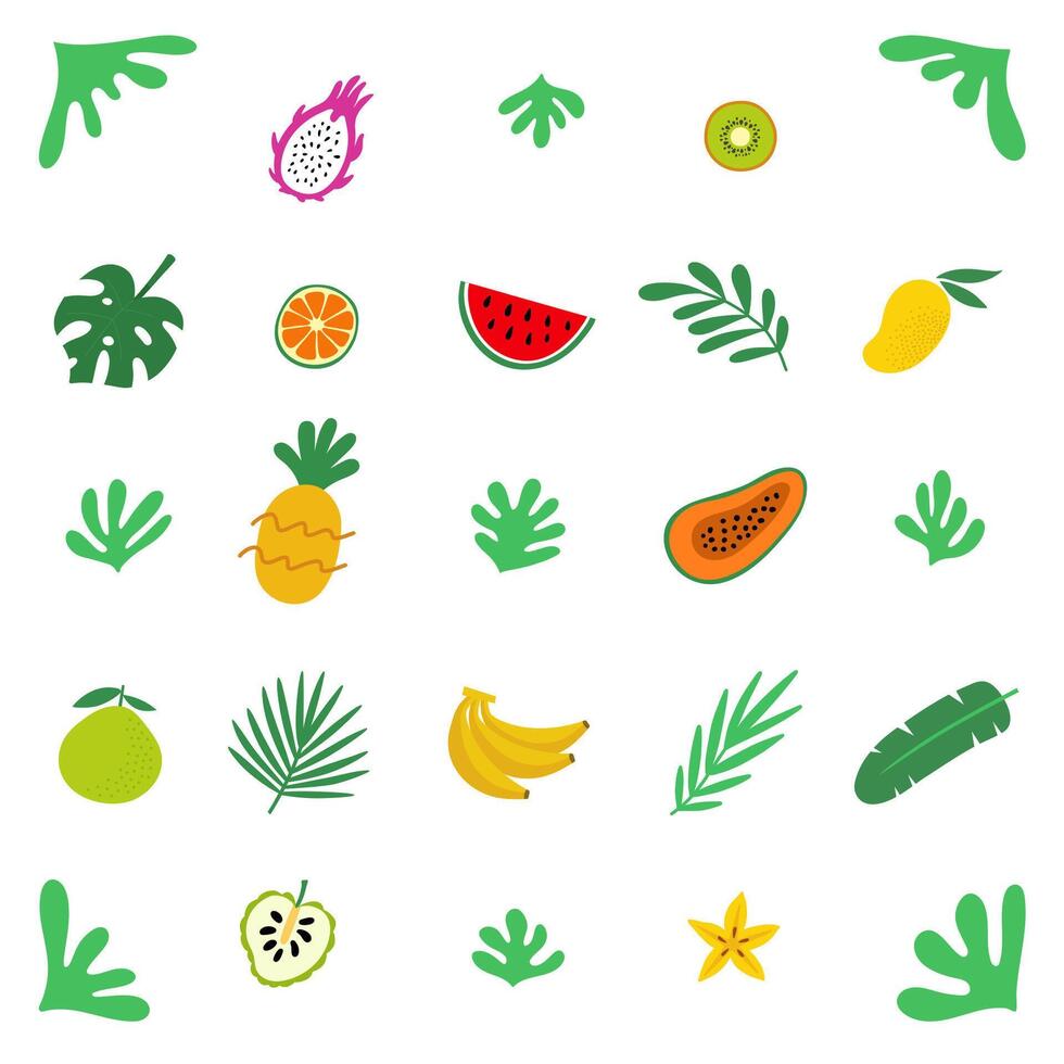 Tropical hand drawn fruit and leaves set. Square flat illustration isolated on white background. vector