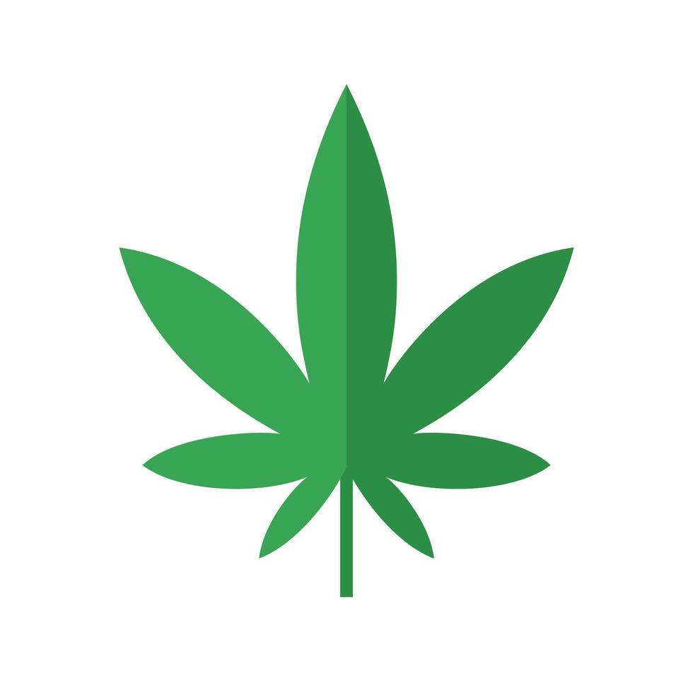 Cannabis or hemp or marijuana leaf color icon. Flat illustration isolated on white background. vector