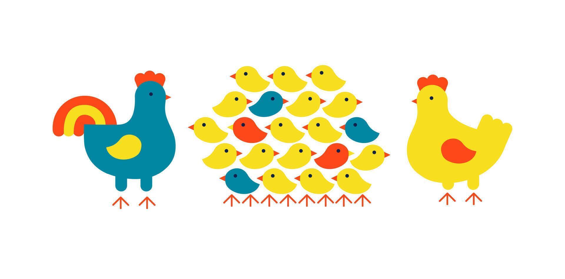 Chicken family. Rooster, hen and bunch of cute newly hatched chicks. Flat illustration isolated on white background. vector