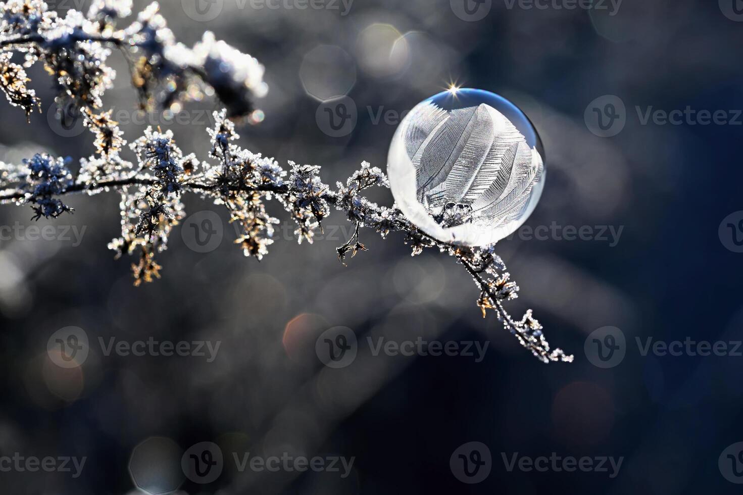 Frozen bubble in nature. A beautiful macro shot of nature in winter. Concept for environment, water and frost. photo