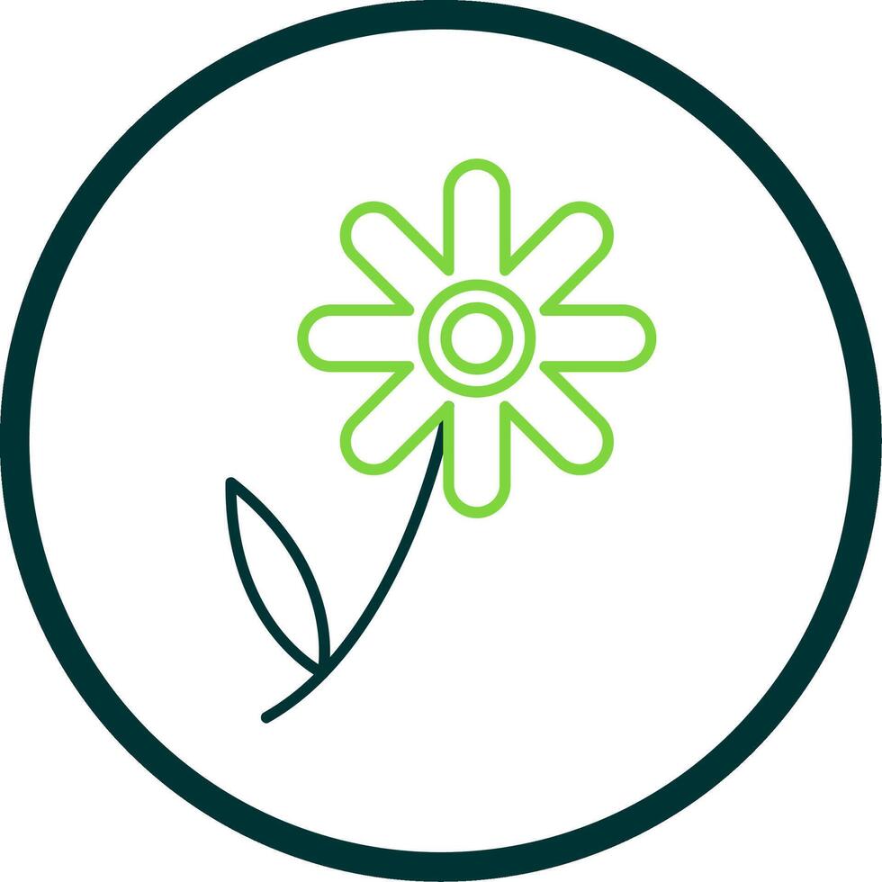 Chamomile Line Circle Icon vector