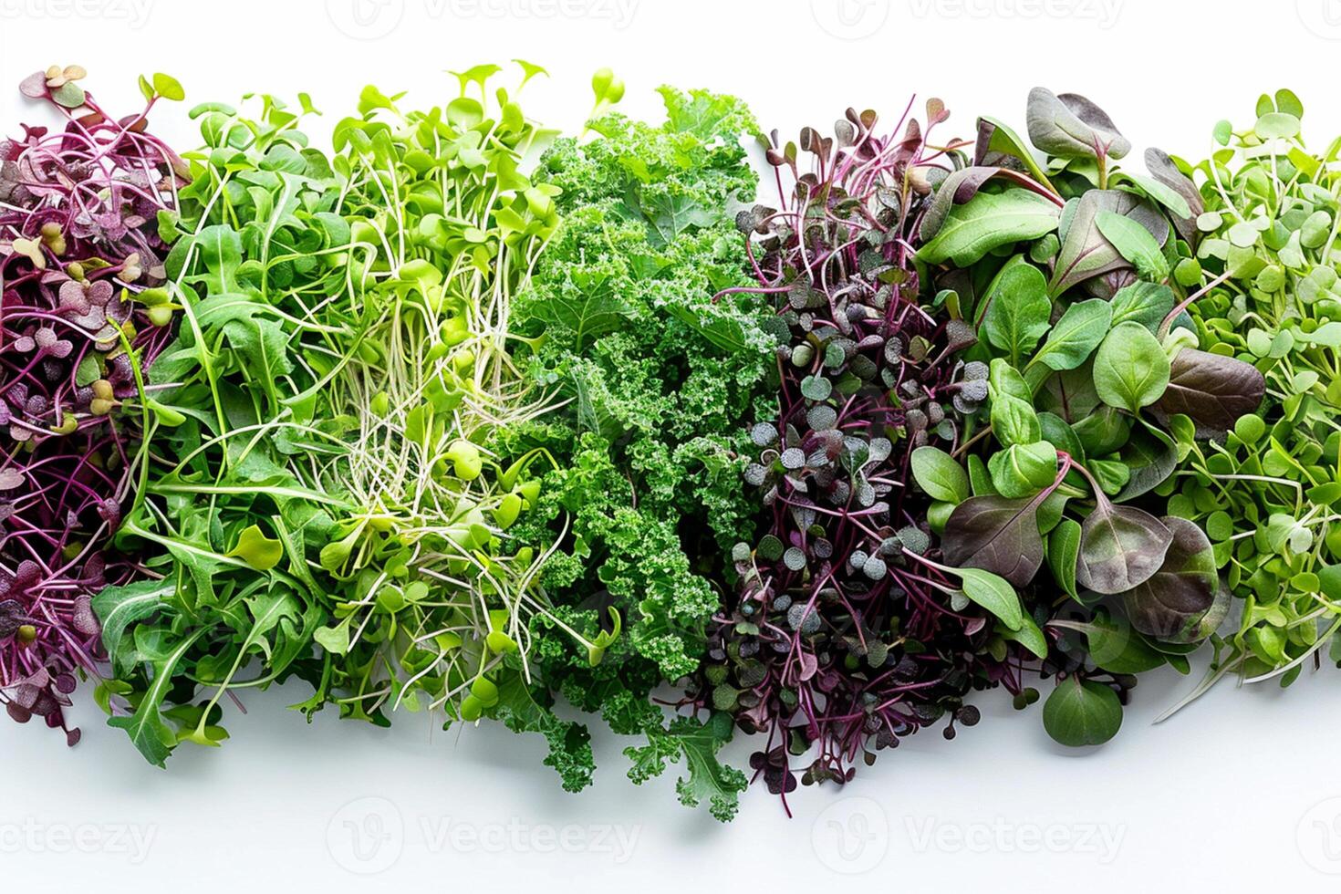 Healthy bio organic different microgreen on the white background. Nature baby superfood lifestyle concept. photo