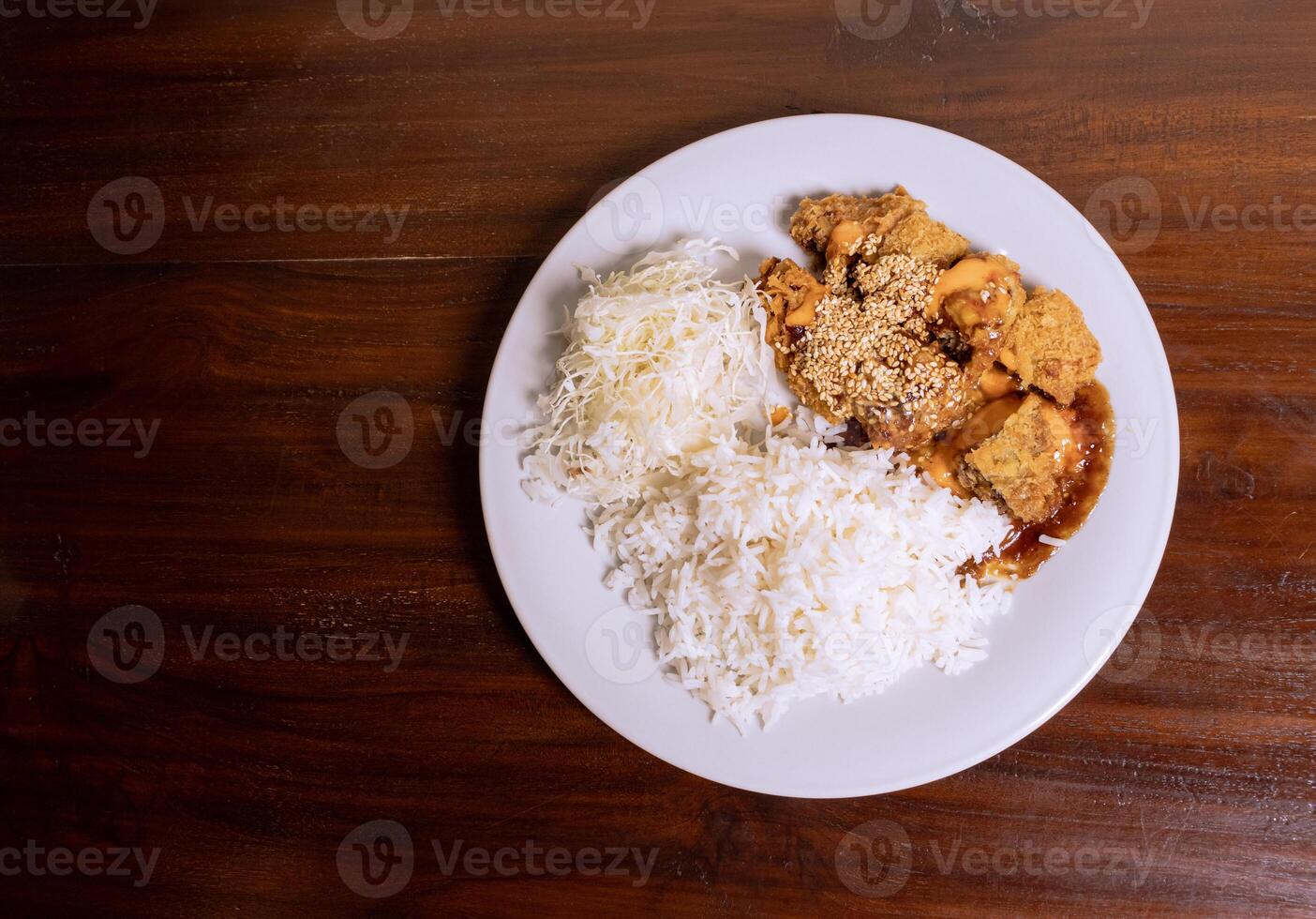 japonés alimento, katsu con arroz en un blanco lámina. después algunos ediciones foto
