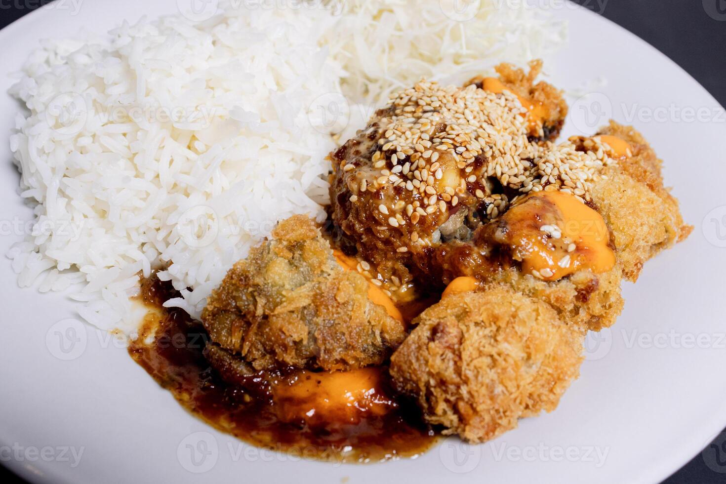 japonés alimento, katsu con arroz en un blanco lámina. después algunos ediciones foto