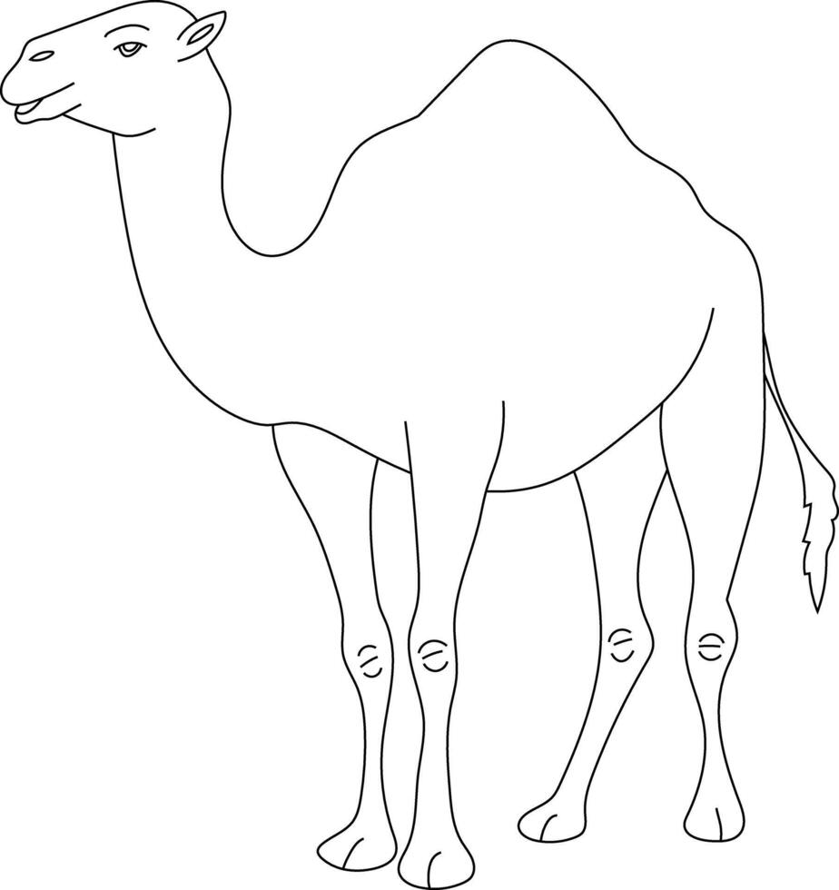 Outline Camel Clipart. Doodle Animals Clipart. Cartoon Wild Animals Clipart for Lovers of Wildlife vector