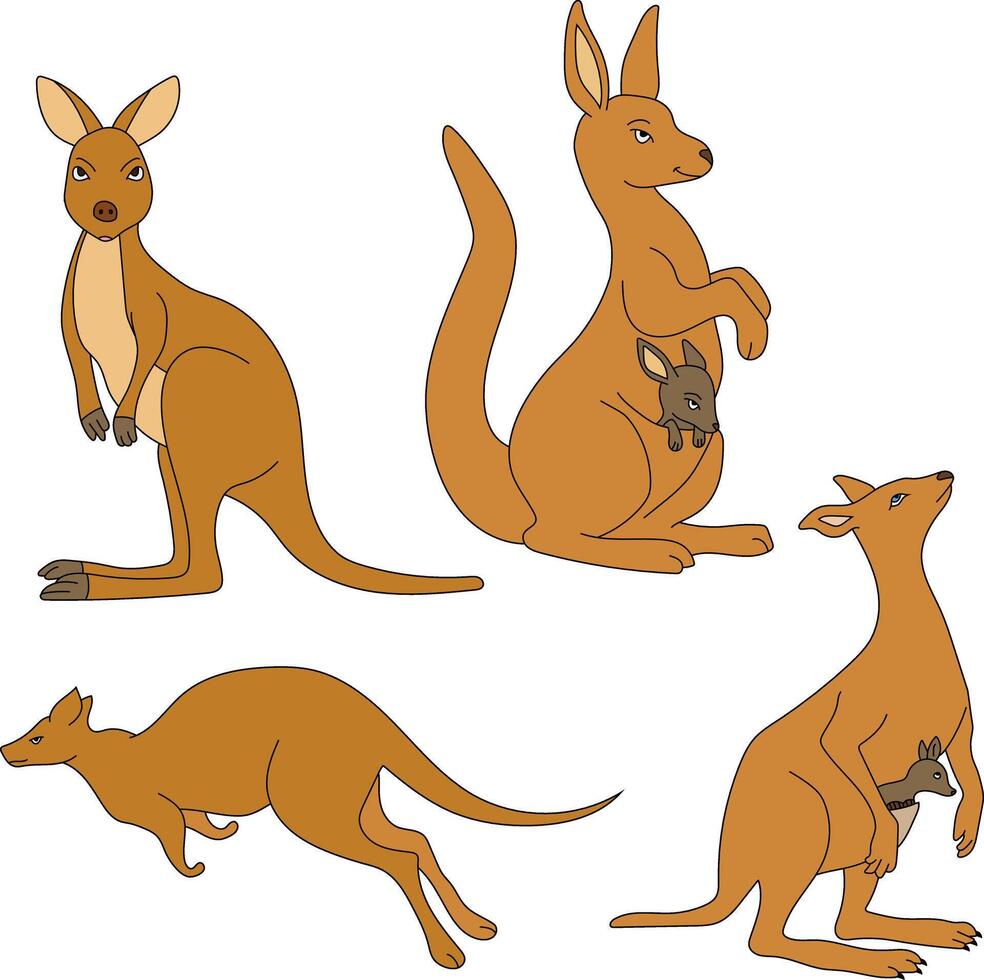 Kangaroo Clipart Set. Cartoon Wild Animals Clipart Set for Lovers of Wildlife vector