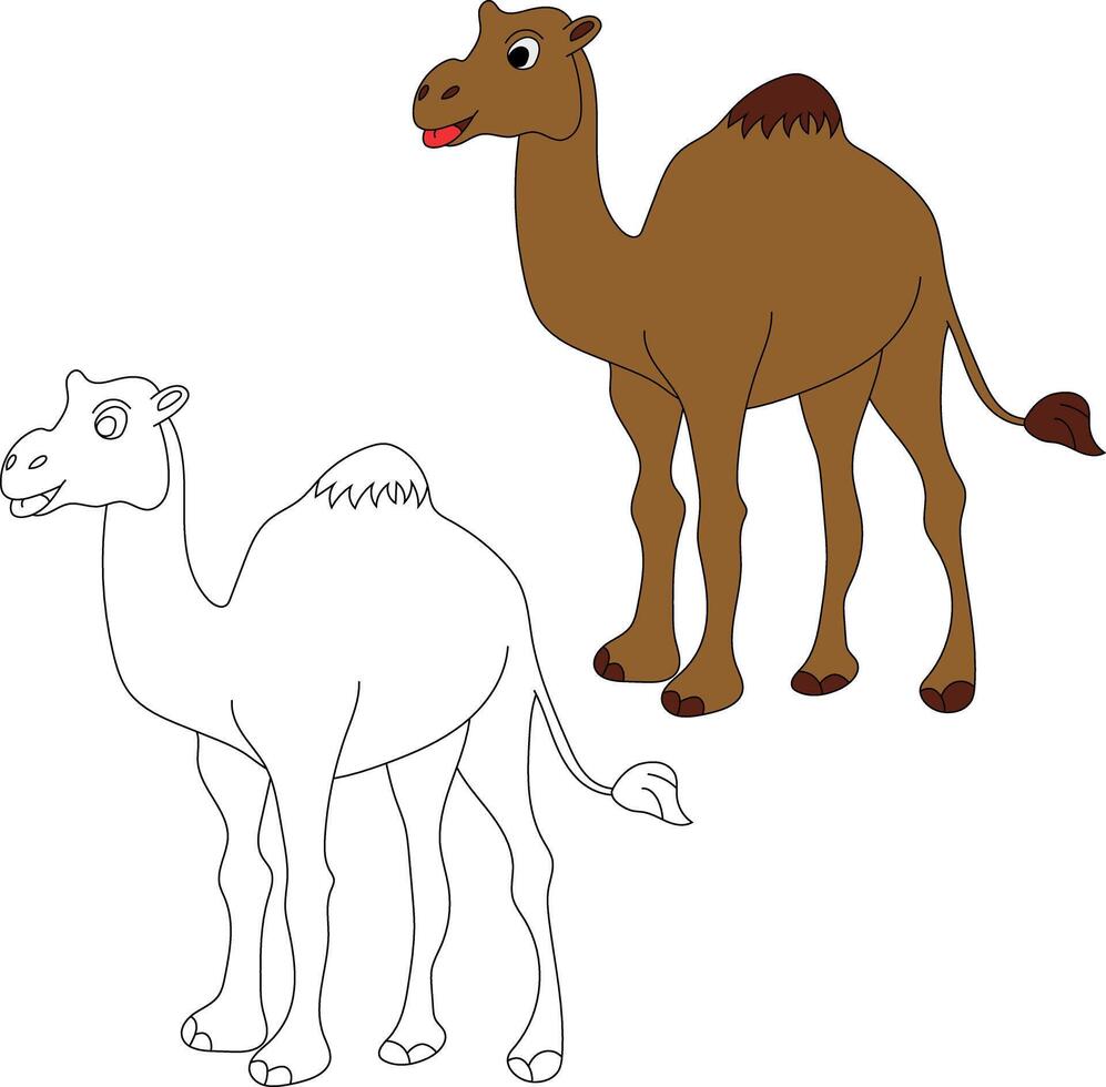 Camel Clipart Set. Cartoon Wild Animals Clipart Set for Lovers of Wildlife vector
