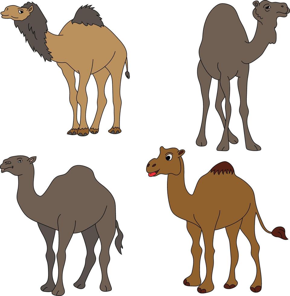 Camel Clipart Set. Cartoon Wild Animals Clipart Set for Lovers of Wildlife vector