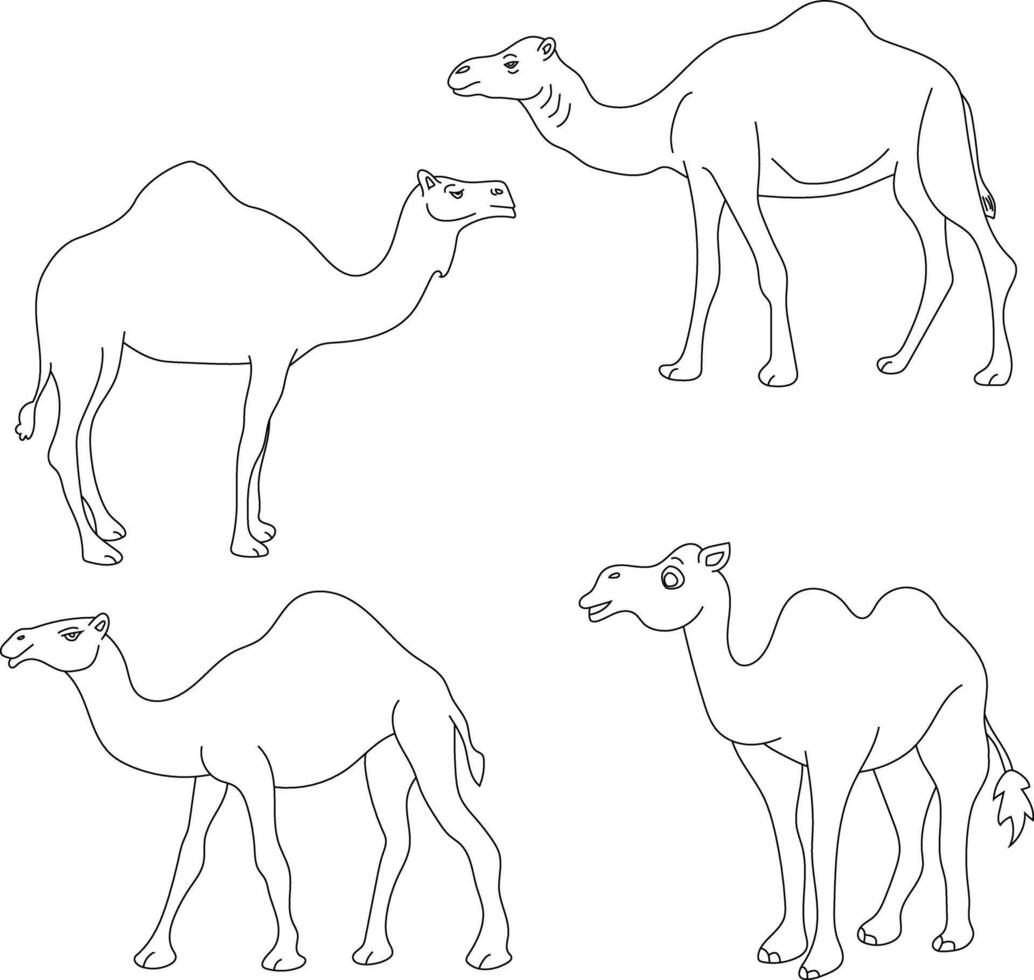 Camel Clipart Set. Cartoon Wild Animals Clipart Set for Lovers of Wildlife vector